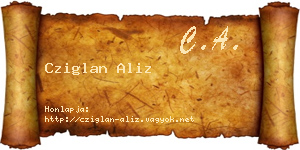 Cziglan Aliz névjegykártya
