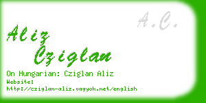 aliz cziglan business card